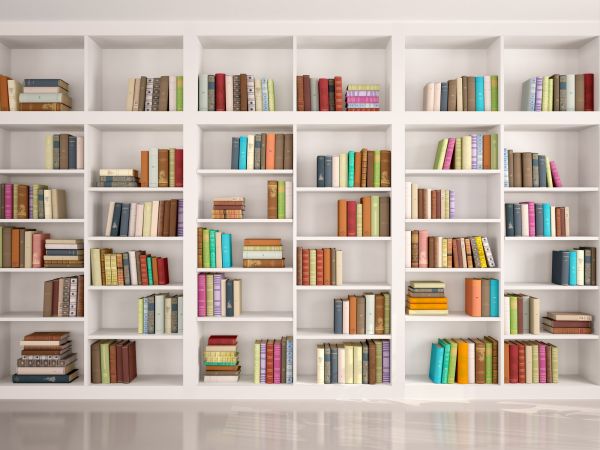 Bookshelf Assembly in Winter Park